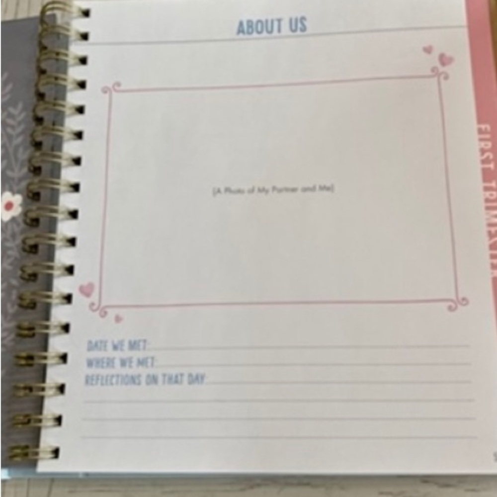 Bump for Joy Baby Boy Pregnancy Memory Keepsake Journal Book - Picture 7 of 13